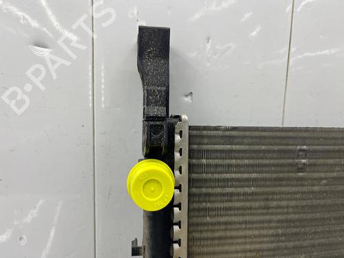 Water radiator RENAULT KANGOO Express (FW0/1_) | BP38425924M31 - Image 5
