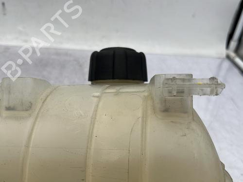Expansion tank RENAULT KANGOO / GRAND KANGOO II (KW0/1_) 1.5 dCi 90 (KW05, KW08, KW0G, KW11) | BP29968126C120
