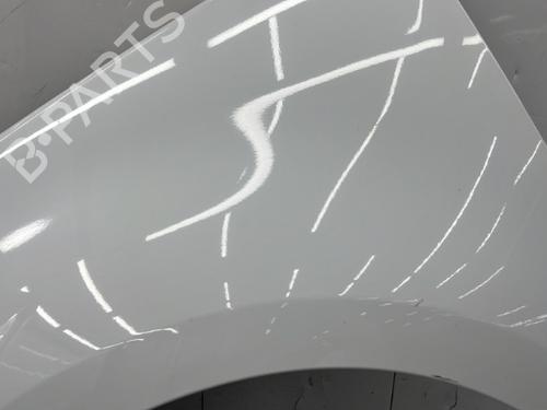 Left front fenders RENAULT SCÉNIC III (JZ0/1_) 1.5 dCi | BP23756535C41 