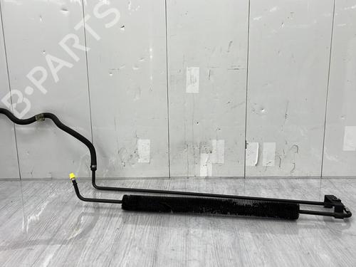 Módulo eletrónico JAGUAR S-TYPE II (X200) 4.2 V8 (298 hp) 28429315