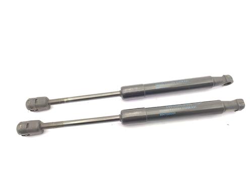 Used Hood lift support RENAULT SCÉNIC III (JZ0/1_) 1.5 dCi (106 hp) 23757762