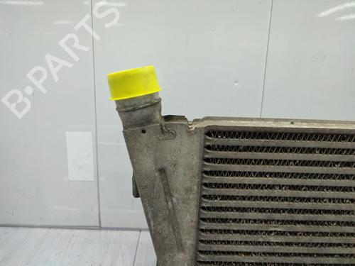 Used Intercooler Intercooler RENAULT MEGANE II Estate (KM0/1_) 1.9 dCi (KMRG, KM1G, KM0G, KM2C) (120 hp) 23676344 23676344