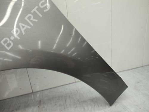 Left front fenders RENAULT SCÉNIC III (JZ0/1_) 1.9 dCi (JZ0J, JZ1J, JZ1K, JZ1S) | BP23706883C41 