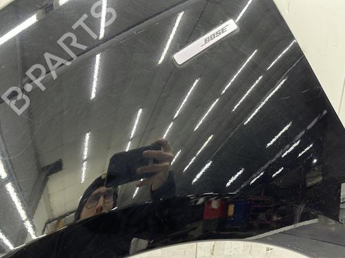 Left front fenders RENAULT SCÉNIC III (JZ0/1_) 1.6 dCi (JZ00, JZ12) | BP32373388C41