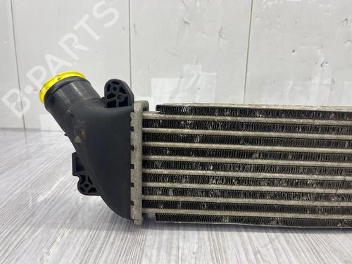 Intercooler RENAULT KANGOO Express (FC0/1_) | BP38283489M30 - Image 3