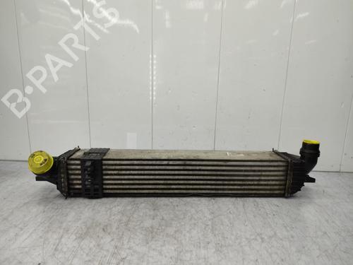 Intercooler RENAULT LATITUDE (L70_) 2.0 dCi 150 (L70H) | BP23712679M30  - Image 9