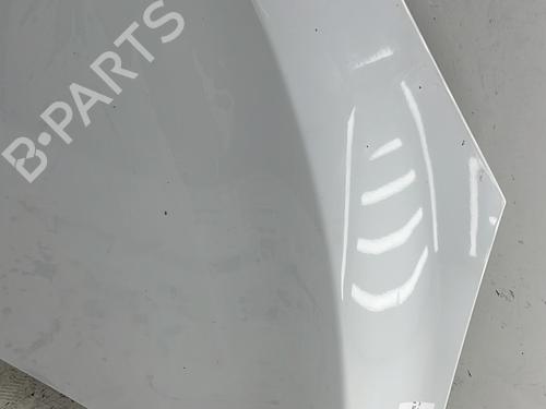 hood-renault-megane-iii-hatchback-bz01_-b3_-2008-30125620 main image