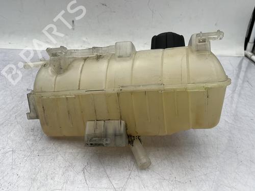 Expansion tank RENAULT KANGOO / GRAND KANGOO II (KW0/1_) 1.5 dCi 90 (KW05, KW08, KW0G, KW11) | BP29968126C120