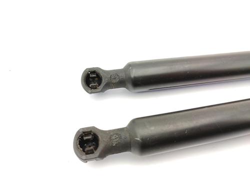 Used Tailgate lift support RENAULT SCÉNIC III (JZ0/1_) 1.6 dCi (JZ00, JZ12) (130 hp) 23750695