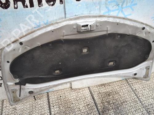 Hood RENAULT CLIO III (BR0/1, CR0/1) 1.5 dCi (C/BR0G, C/BR1G) | BP23685680C1 
