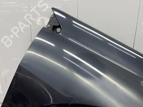 Forkjerm høyre Forkjerm høyre RENAULT LAGUNA III (BT0/1) 2.0 dCi (BT07, BT0J, BT14, BT1A, BT1S) (131 hp) 37284438 37284438