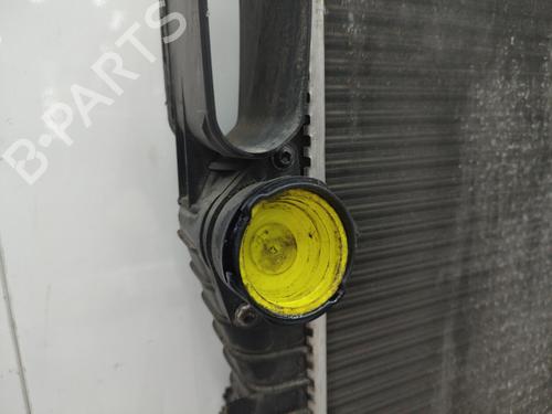 Køler MERCEDES-BENZ E-CLASS (W211) [2002-2009]  23731670