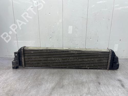 Intercooler RENAULT MASTER III Van (FV) 2.3 dCi 125 FWD (FV0C, FV0D, FV0G, FV0H, FV0J, FV0K,... | BP36646388M30 - Image 9