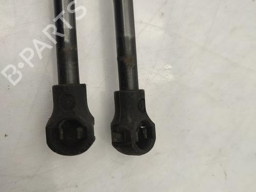 Tailgate lift support PEUGEOT 208 I (CA_, CC_) 1.6 HDi | BP25478198C138