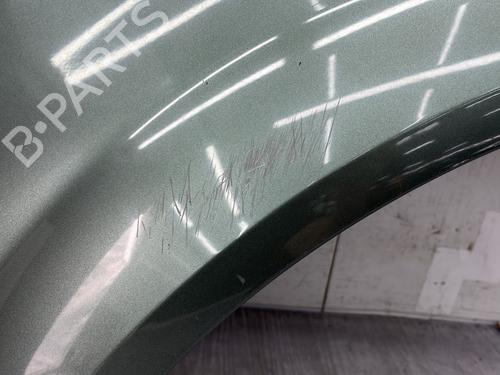 Left front fenders RENAULT MEGANE II (BM0/1_, CM0/1_) 1.6 16V (BM0C, CM0C) | BP25006484C41 