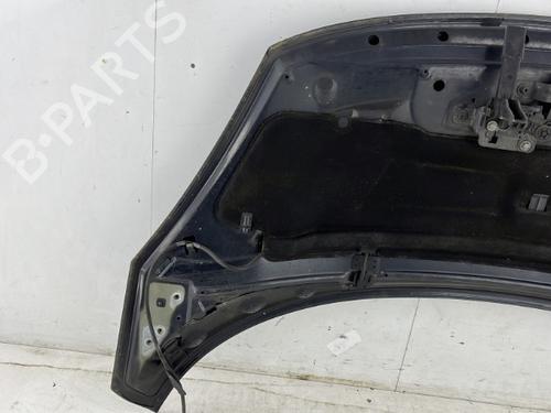 Hood RENAULT SCÉNIC III (JZ0/1_) 1.5 dCi | BP23754256C1