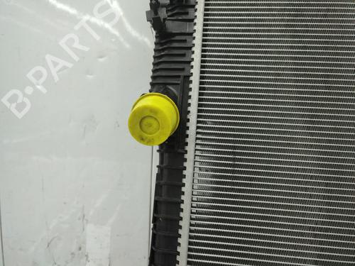 Used Water radiator Water radiator FORD FIESTA VII (HJ, HF) 1.0 EcoBoost (101 hp) 28817044 28817044