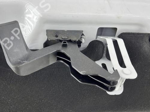 Hood PEUGEOT EXPERT Van (V_) 2.0 BlueHDi 145 | BP32062041C1 