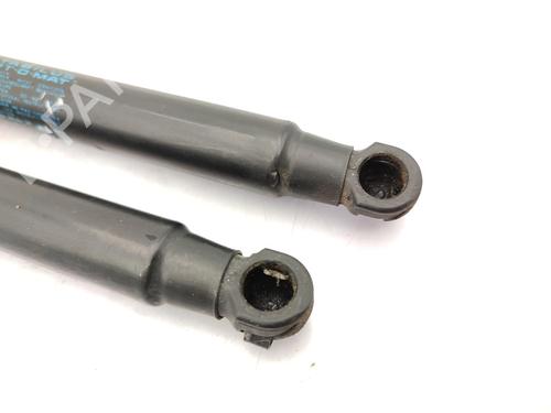 Hood lift support HYUNDAI SANTA FÉ I (SM) 2.0 CRDi 4x4 | BP23730495C139 