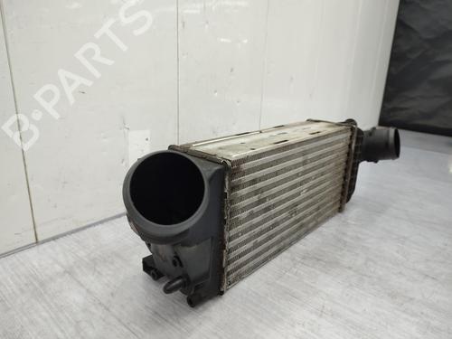 Used Intercooler Intercooler CITROËN C5 III (RD_) 2.0 HDi (RDRHD8, RDRHDJ, RDRHR8, RDRHRJ) (136 hp) 23741862 23741862