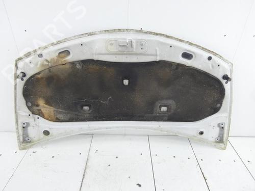 Hood RENAULT CLIO III (BR0/1, CR0/1) 1.5 dCi (C/BR0G, C/BR1G) | BP23700620C1 