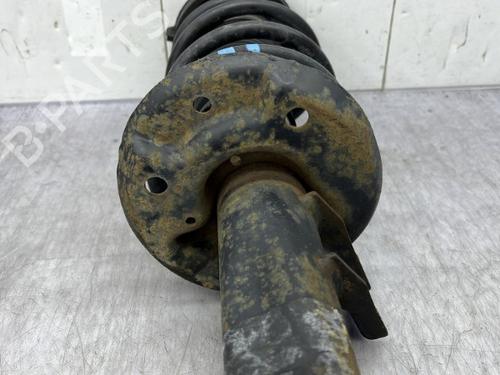 Right front shock absorber SKODA OCTAVIA II (1Z3) 1.9 TDI | BP23756661M17 