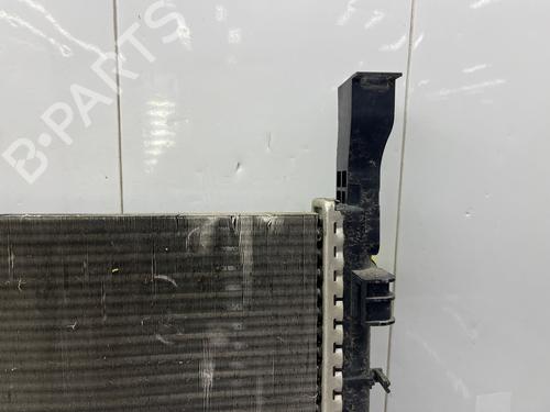 Water radiator RENAULT KANGOO Express (FW0/1_) | BP38425924M31 - Image 6