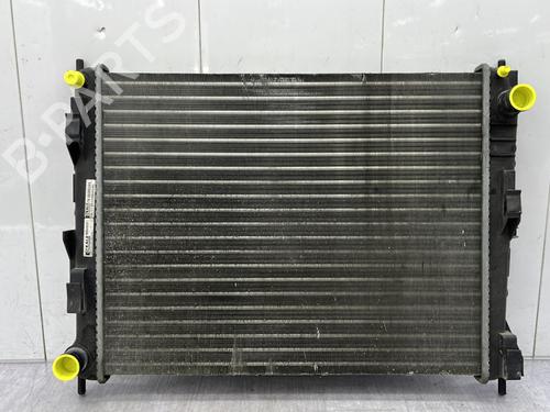 Køler RENAULT CLIO III (BR0/1, CR0/1) 1.2 16V (78 hp) 25715817