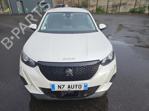 Pipe PEUGEOT 2008 II (UD_, US_, UY_, UJ_, UR_, UC_) 1.5 BlueHDI 130 | BP28690462M125 