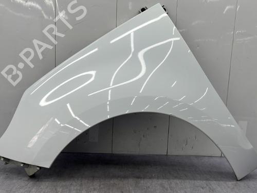 Used Left front fenders RENAULT SCÉNIC III (JZ0/1_) 1.5 dCi (106 hp) 23756535