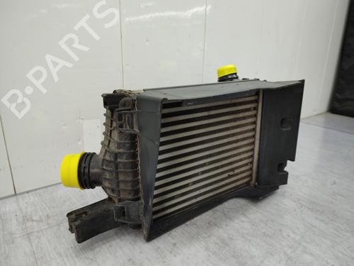 Intercooler DACIA DUSTER (HS_) 1.2 TCe 125 | BP23723363M30  - Image 8