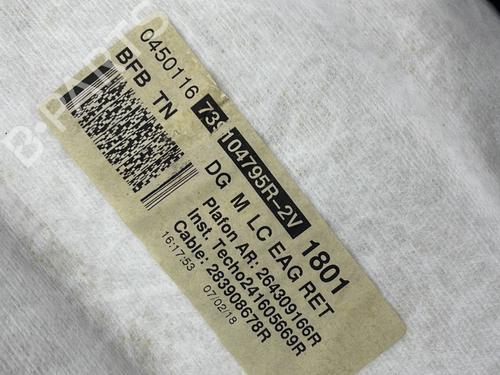 Interior roof RENAULT MEGANE IV Hatchback (B9A/M/N_) 1.6 dCi 165 | BP23683492I12  - Image 6