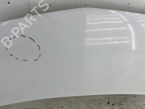 Hood RENAULT KANGOO / GRAND KANGOO II (KW0/1_) 1.5 dCi 90 (KW05, KW08, KW0G, KW11) | BP28304381C1