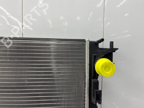 Water radiator RENAULT KADJAR (HA_, HL_) 1.5 dCi 110 (HLA3) | BP37717300M31  - Image 10