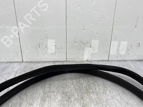 Gummiliste RENAULT MEGANE IV Hatchback (B9A/M/N_) 1.2 TCe 130 (B9MR) | BP23868330C142 - Image 3