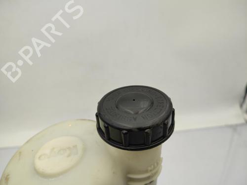 Steering pump DACIA DUSTER (HS_) 1.5 dCi (HSMC) | BP23728948M99  - Image 7