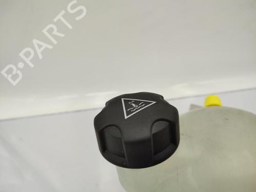 Expansion tank PEUGEOT 206+ (2L_, 2M_) 1.4 HDi eco 70 | BP23720376C120 