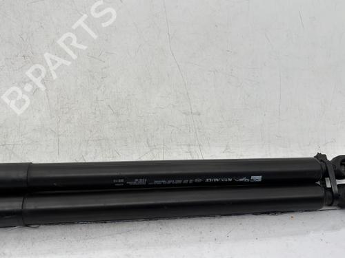 Tailgate lift support RENAULT CLIO IV (BH_) 0.9 TCe 90 (BHNF, BHMA, BHMH, BHJK, BHJR) | BP23758831C138 