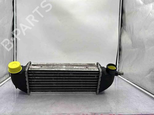 Intercooler Intercooler FORD TRANSIT CONNECT (P65_, P70_, P80_) 1.8 Di (75 hp) 36591171 36591171