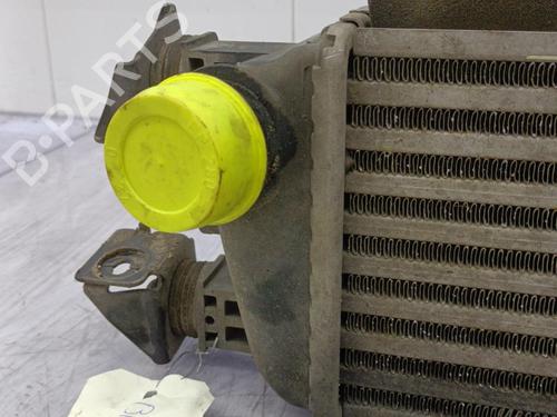 Used Intercooler FIAT 500 (312_) 1.3 D Multijet (312AXB1A) (75 hp) 23708431