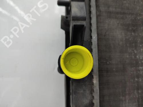 Water radiator RENAULT KANGOO (KC0/1_) 1.9 dTi (KC0U) | BP23712024M31 - Image 6