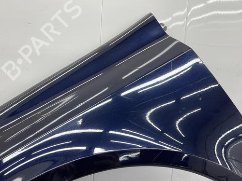 Left front fenders RENAULT LAGUNA II (BG0/1_) 1.9 dCi (BG1A, BG1W, BG0G) | BP23706468C41 