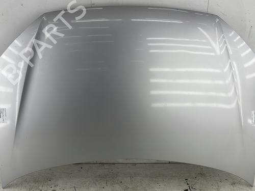 Used Hood VW POLO IV (9N_, 9A_) 1.4 TDI (70 hp) 26573641