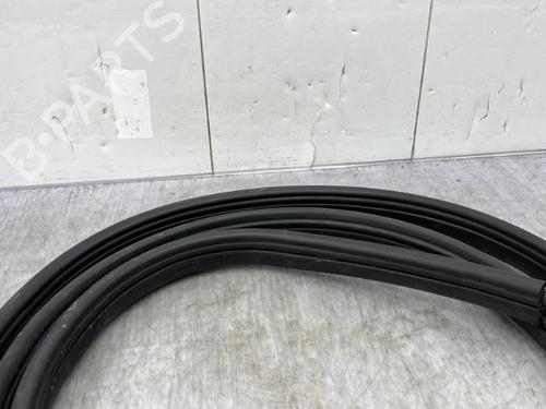 Rubber door seal DACIA SPRING EV (B6M1) | BP23758110C142