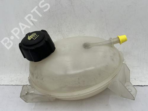 expansion-tank-renault-captur-i-j5_-h5_-2013-23758803 main image