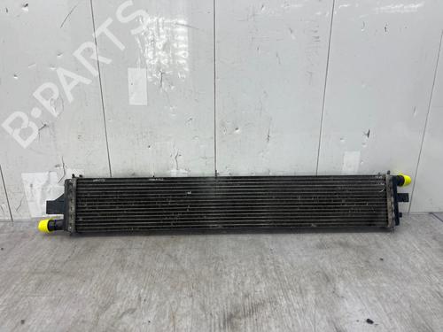 Water radiator RENAULT MASTER III Platform/Chassis (EV, HV, UV) 2.3 dCi 145 FWD (EV0E, EV0F, HV0E, HV0F, UV0E, UV0F,... | BP37193744M31  - Image 7