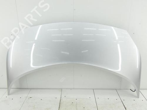 Used Hood RENAULT SCÉNIC II (JM0/1_) 1.9 dCi (JM14) (131 hp) 23687182