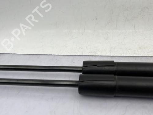 tailgate-lift-support-renault-modus-grand-modus-fjp0_-2004-23752824 main image