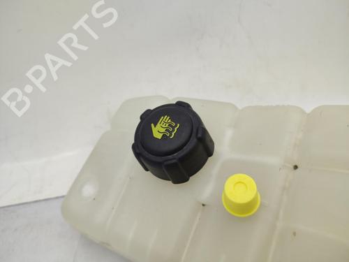Used Expansion tank RENAULT MEGANE IV Hatchback (B9A/M/N_) 1.5 Blue dCi 95 (B9A2, B9A6) (95 hp) 23720147