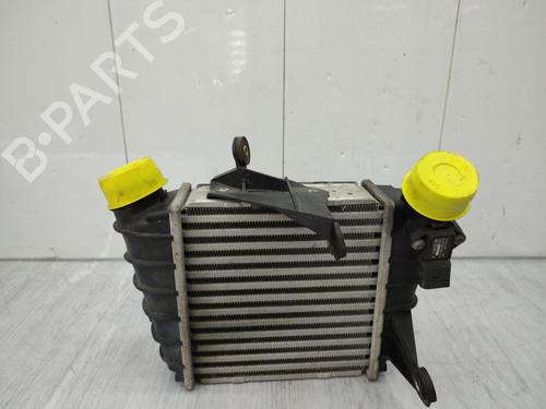 Intercooler VW POLO (9N_, 9A_) 1.4 TDI | BP23738922M30 